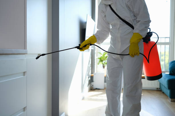 Hummelstown, PA Mold Removal Company